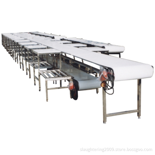 Cutting and Packaging Belt Conveyer